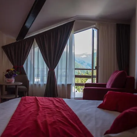 Hotel Marea Neagra Sinaia